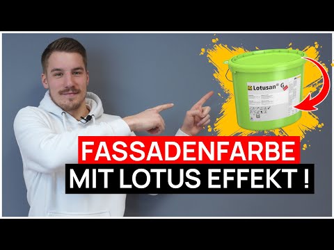 Top Fassadenpaket Lotusan inkl. Zubehör